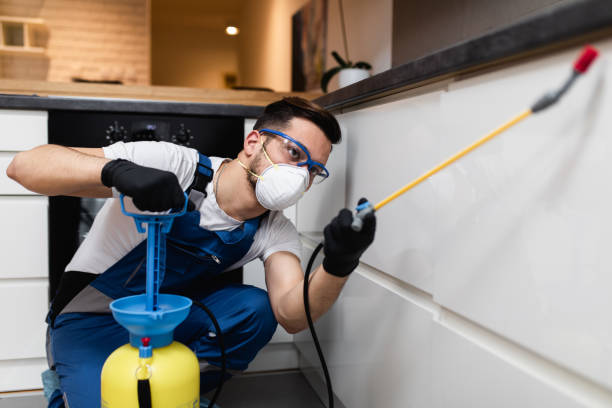 Best Termite Control Services  in Barnhart, MO