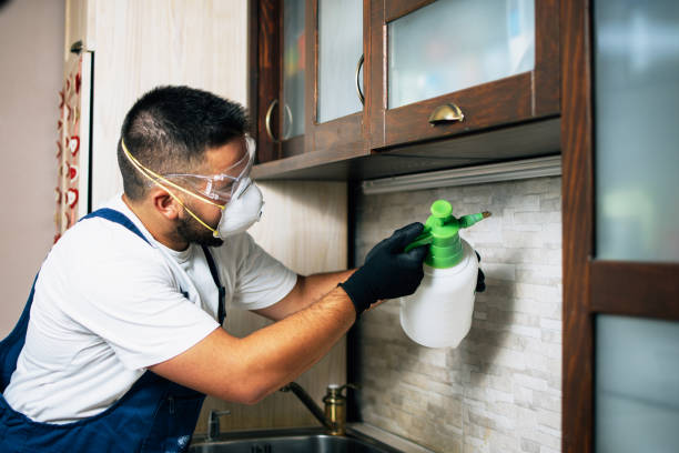 Best Flea Control Services  in Barnhart, MO