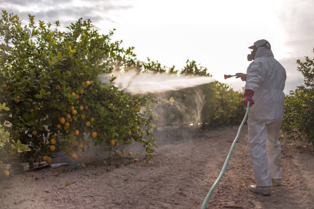 Reliable Barnhart, MO Pest Control Solutions
