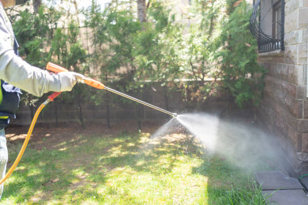 Bird Control in Barnhart, MO