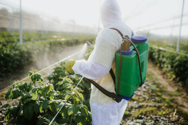 Best Cockroach Control Services  in Barnhart, MO